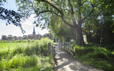Alles wat je moet weten over verhuizen naar de Achterhoek